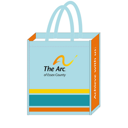 Arc Reusable Shopping Bag